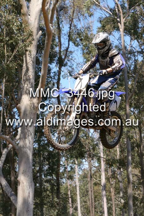 445x677 pixels (100K)